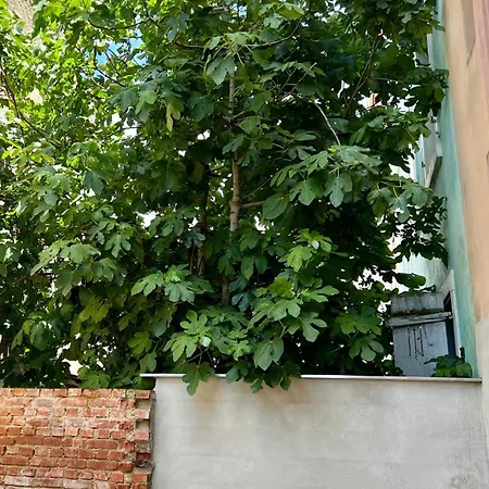 Rs-3 - F2 Au 3eme Etage A Pour 1-3 Pers *